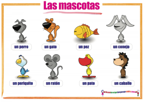 Las mascotas